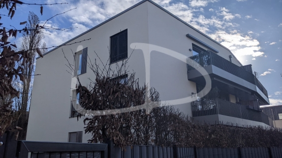 WhatsApp Image 2024-03-09 at 09.24.50.jpeg